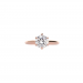 6 Prong Tulip Solitaire Setting With Diamond Bridge In Rose Gold