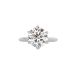 6 Prong Tulip Solitaire Setting With Diamond Bridge In White Gold
