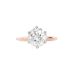6 Prong Tulip Solitaire Setting With Diamond Bridge In Two-Tone